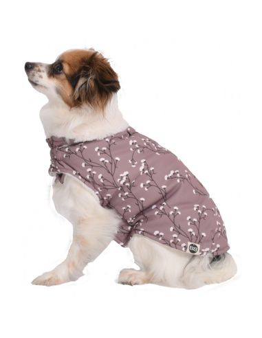 MANTEAU CHIEN FLEUR CHOCO-