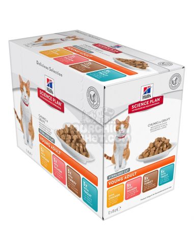 Royal Canin - Sachets Sterilised en Sauce pour Chat - 12x85g