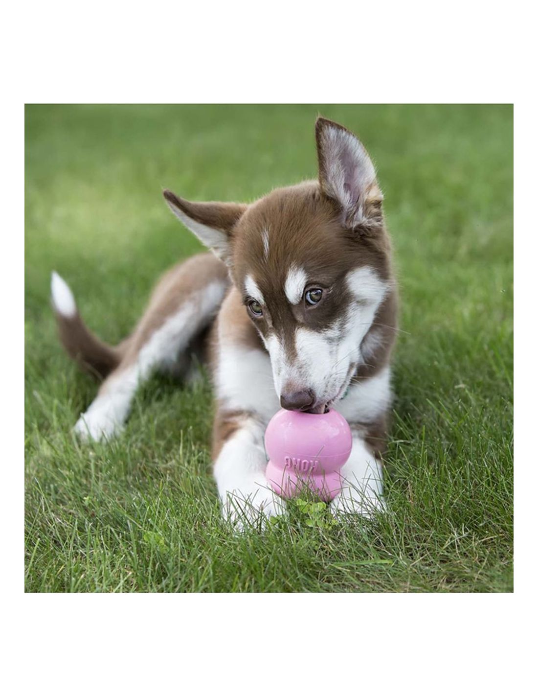 KONG EASY TREAT PUPPY