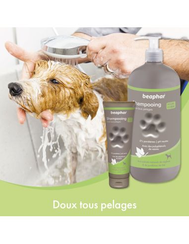 SHAMPOING DOUX TOUS PELAGES AUX EXTRAITS DE REGLISSES ET BLE