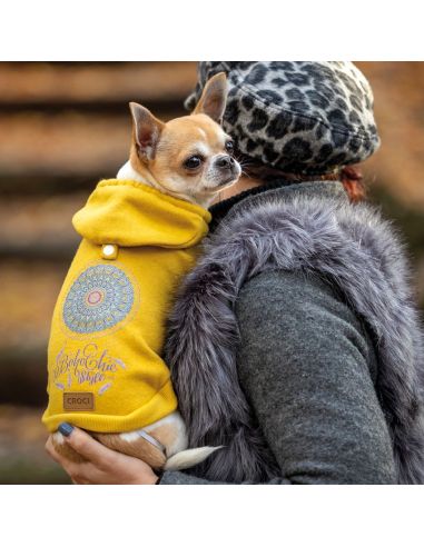 Sweat pour chien – Attrape-rêves