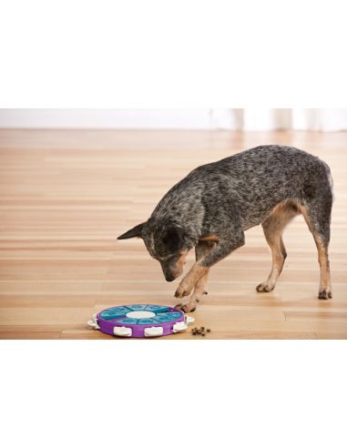 JEU INTERACTIF CHIEN STRATEGIE - Dog Twister